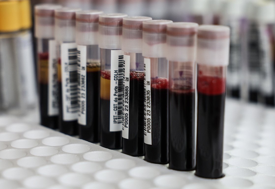 Thumbnail da galeria Dádiva de Sangue